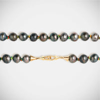 Marie Lichtenberg Staging Link Mauli Tahiti Black 37cm