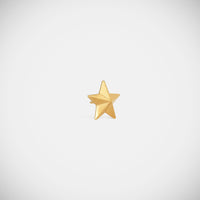 Marie Lichtenberg Staging Earring Star Stud Earring